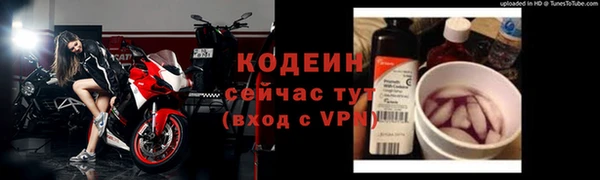 ПСИЛОЦИБИНОВЫЕ ГРИБЫ Осинники