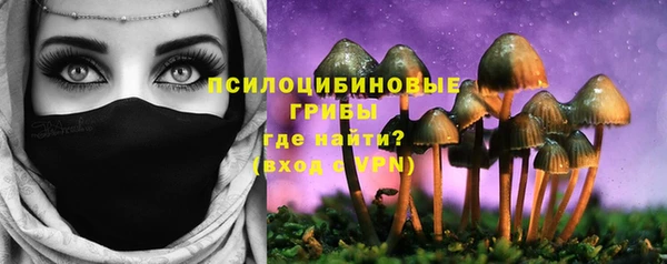 ПСИЛОЦИБИНОВЫЕ ГРИБЫ Осинники